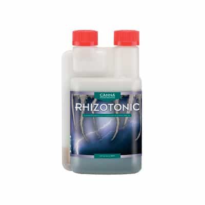 Canna Rhizotonic