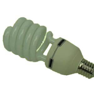 Fluro Lamps