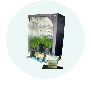 Grow tent kit with plants and nutrient bottles