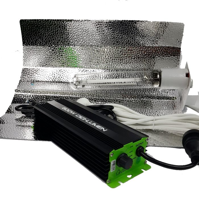 600w Digital ballast light kit