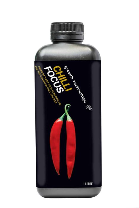 Chilli Focus