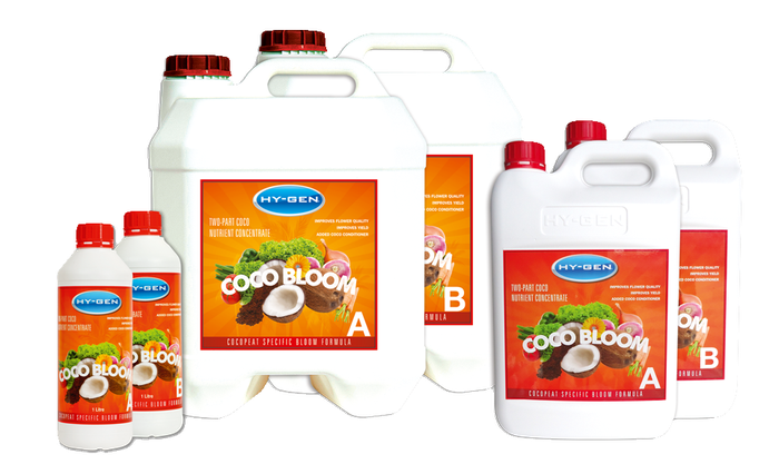 Hygen Coco Bloom