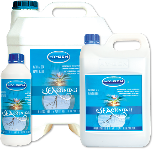 Hygen Sea Essentials