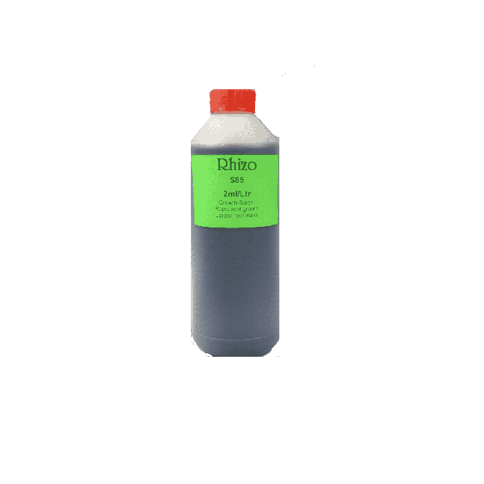 Rhizo
