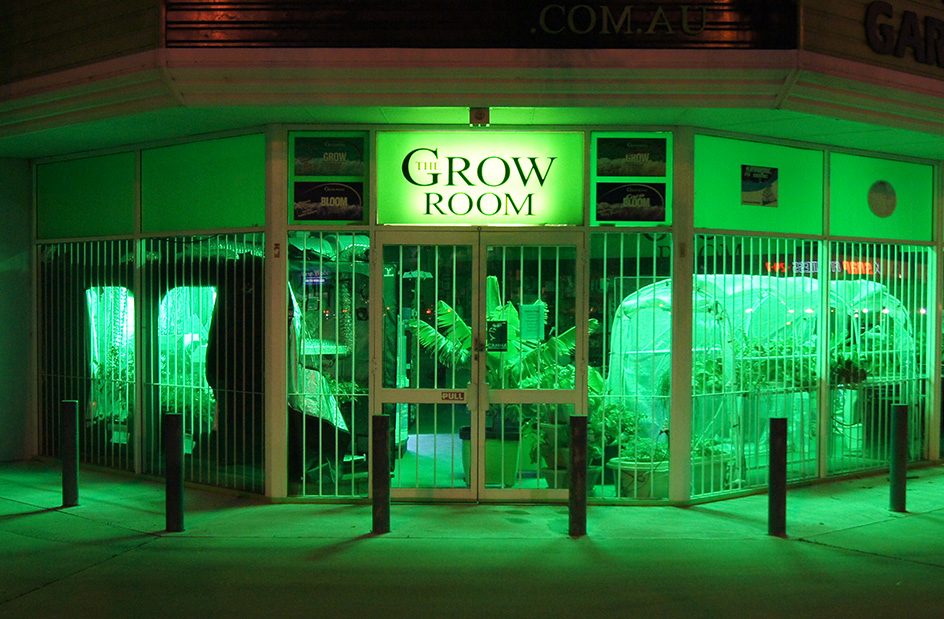 The Grow Room shopfront at night with the lightbox sign glowing above the entry